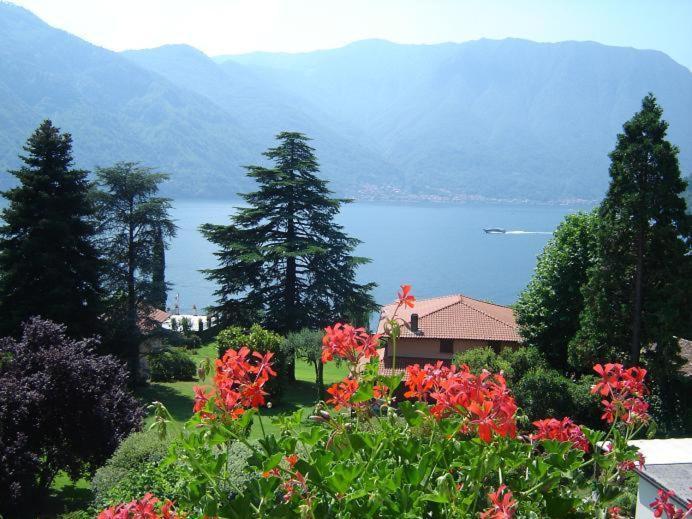 Hotel Lario Mezzegra Exterior foto